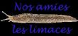 Nos amies les limaces